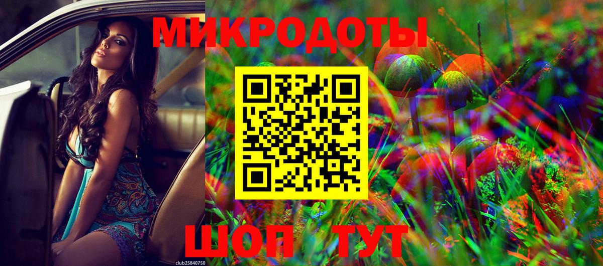 Псилоцибиновые грибы мухоморы  магазин  наркотиков  Тулун  Галлюциногенные грибы Psilocybe  Вход с VPN 
