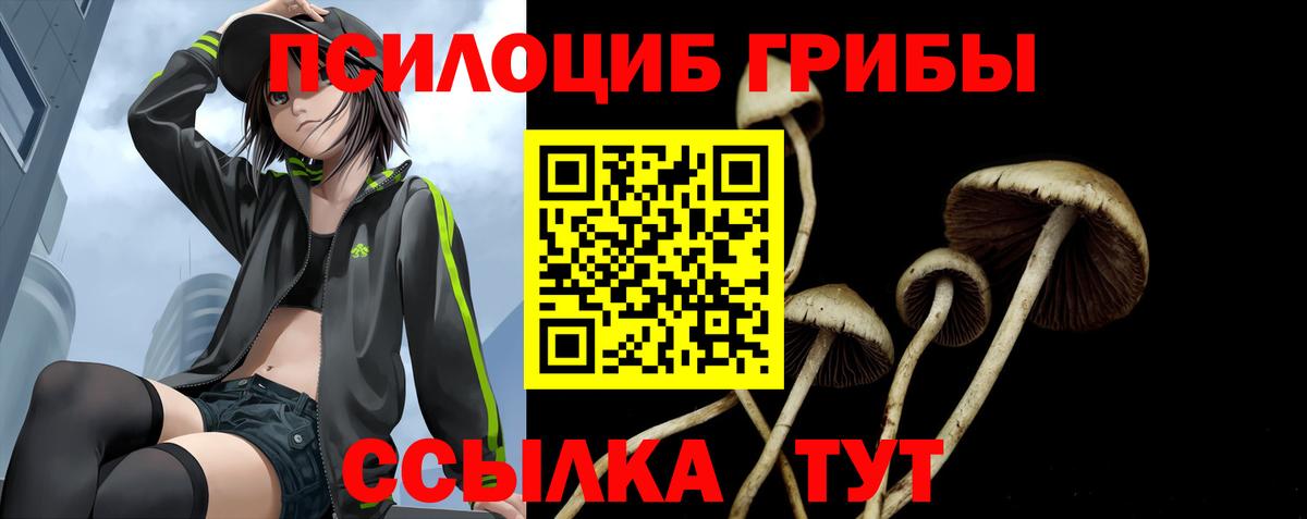 Галлюциногенные грибы ЛСД Тулун